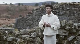 ‘We didn’t want west Wicklow to look like the Serengeti’