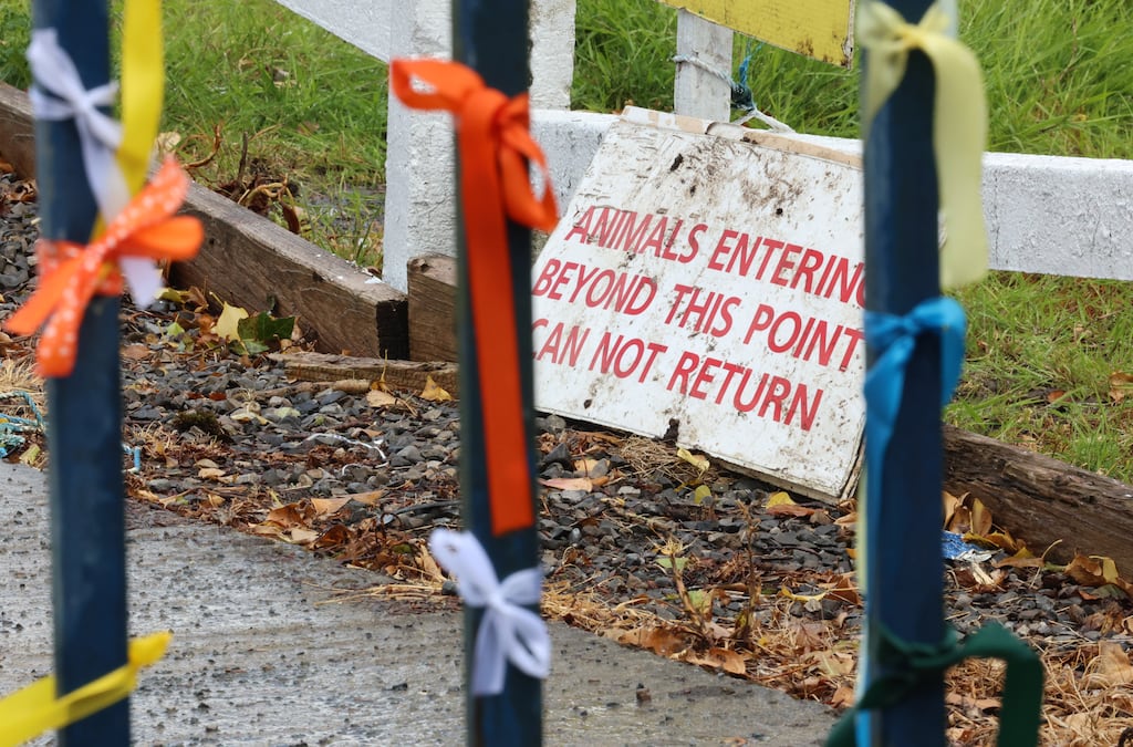 A protest organised by My Lovely Horse Rescue outside Shannonside Foods at Robinwood, near Straffan, Co Kildare following the situation uncovered there by the RTÉ Investigates team. Photograph: Dara Mac Dónaill