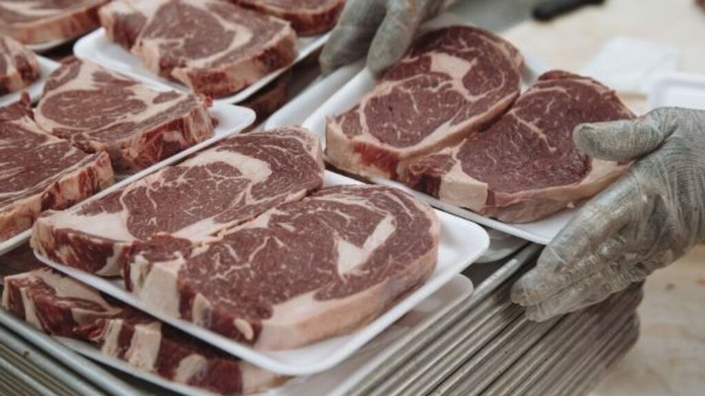 Irish Congress of Trade Unions’ policy paper on Ireland’s meat processing sector  recommends  business support measures be made “conditional on trade union recognition and access”.  Photograph: Angus Mordant