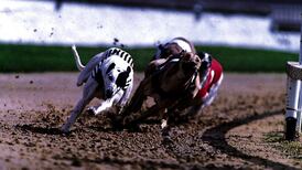 Greyhound stadium management company posts €53,575 loss