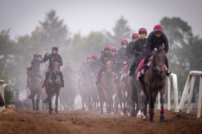 The O'Brien string on their morning work. Photograph: Morgan Treacy/Inpho
