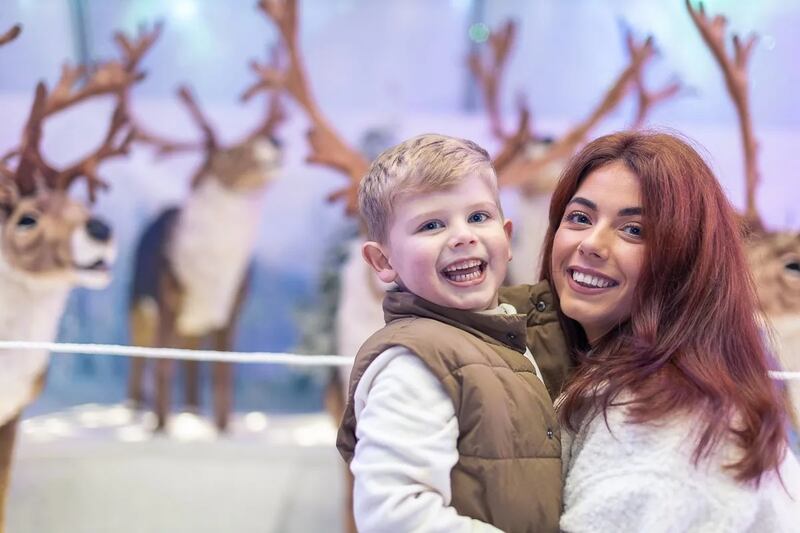 Wild Arctic Experience, Donegal