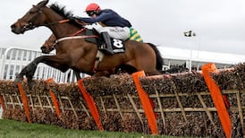 City Island to return to hurdles and take on Paisley Park in stayers’