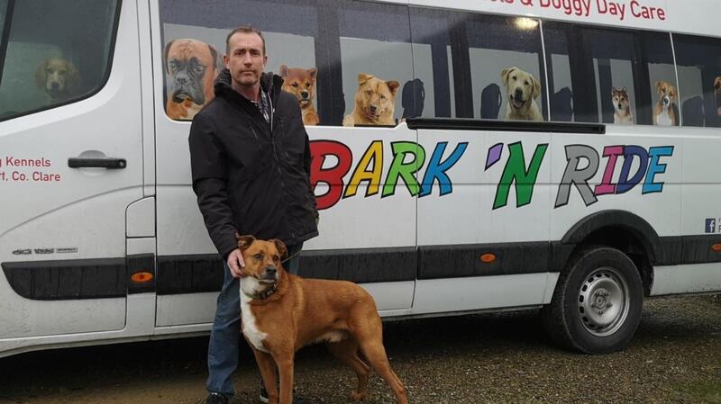 Mark Burns, of the Doggy Day Care bus in Co Clare, which transports up to 23 dogs to its centre outside Ennis, where the pets can play games and socialise with other dogs.