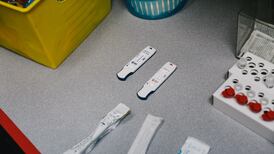 Covid cases rise by more than 60% in last fortnight, mainly affecting the elderly