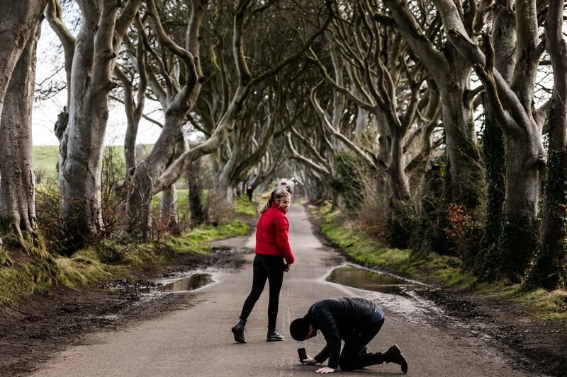 The dark hedges in Co Antrim. Photograph: Robert Ormerod/NYT