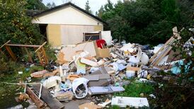 Systematic illegal dumping revealed  in north Dublin