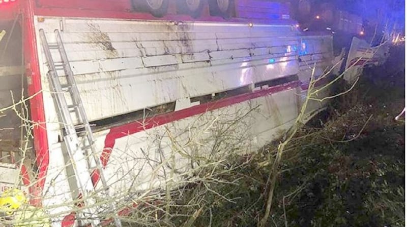 Northern Ireland Fire and Rescue Service handout photo of their rescue of 39 bulls from an overturned articulated cattle lorry on the Cavan Road in Newtownbutler in Co Fermanagh. Photograph: NIFRS/PA Wire