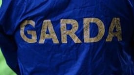 AK47s among ‘dissident’ cache found in Monaghan