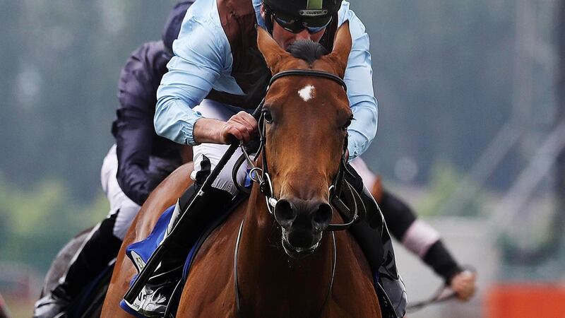 Seamie Heffernan on Fairyland wins at the Curragh. Photograph: Lorraine O’Sullivan/Inpho