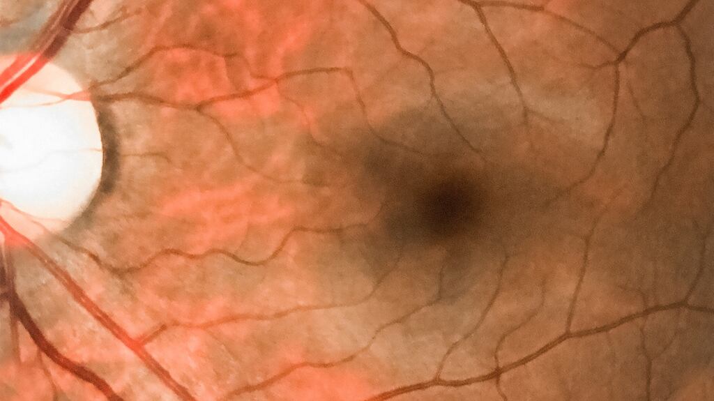 Re-Vana said the investment will primarily be used to advance its proprietary biodegradable technologies for the delivery of therapeutics. File photograph: Getty