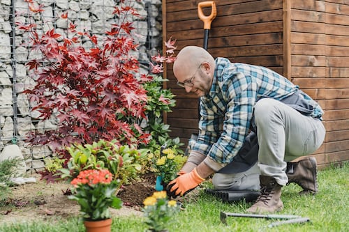 Gardening feels like outdoor housework to me but my wife is caught in its grip