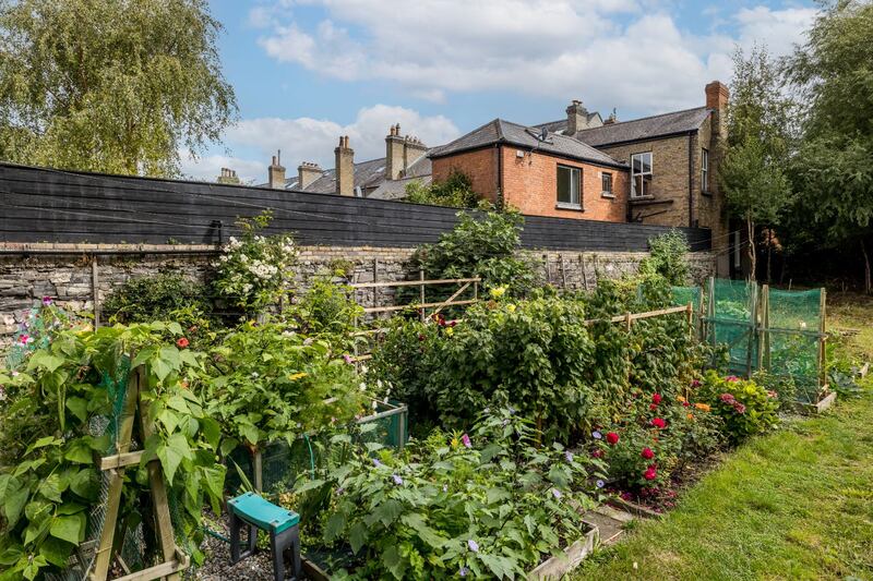 The allotment runs parallel to the canal bank