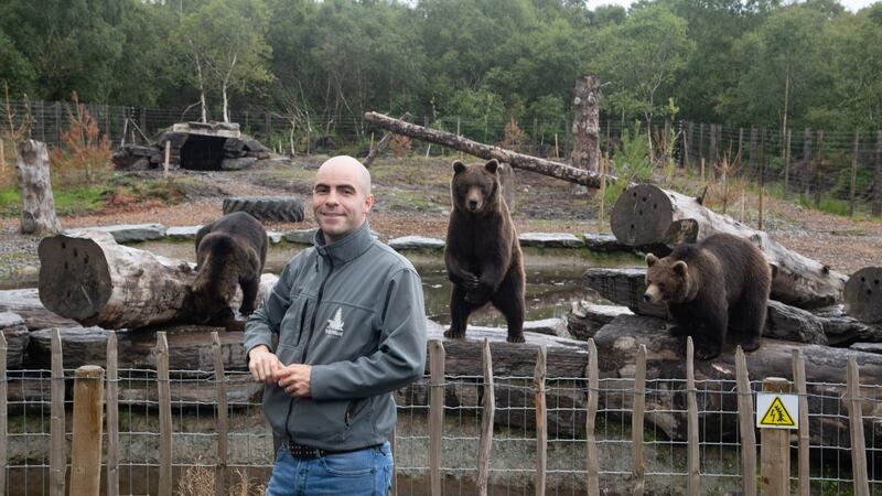 Killian McLaughlin with the wild bears in the Wild Ireland Sanctuary in Burnfoot, Co Donegal. Photograph: Joe Dunne