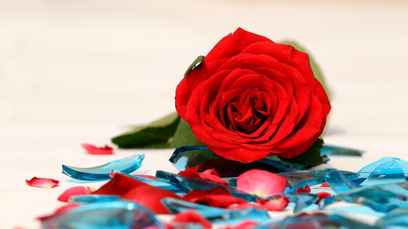 Romance, relationships and financial abuse: ‘They are terrified to go and spend €50 in Dunnes because they will be quizzed’