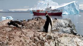 Sea ice around Antarctica hits record low, data shows