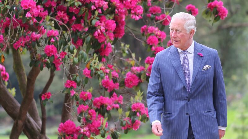 Prince Charles seemed quite taken with the National Botanic Gardens in Co Wicklow. Photograph: Chris Jackson - Pool/Getty Images