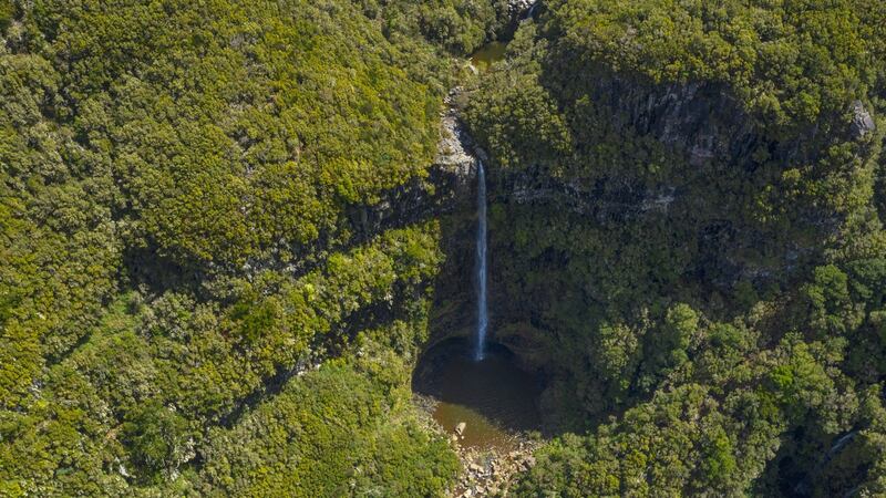 Risco Waterfall, central Madeira. The waterfall is inside a subtropical rainforest. These “laurisilva” forests are designated as a World Heritage Site by Unesco. Photograph: iStock