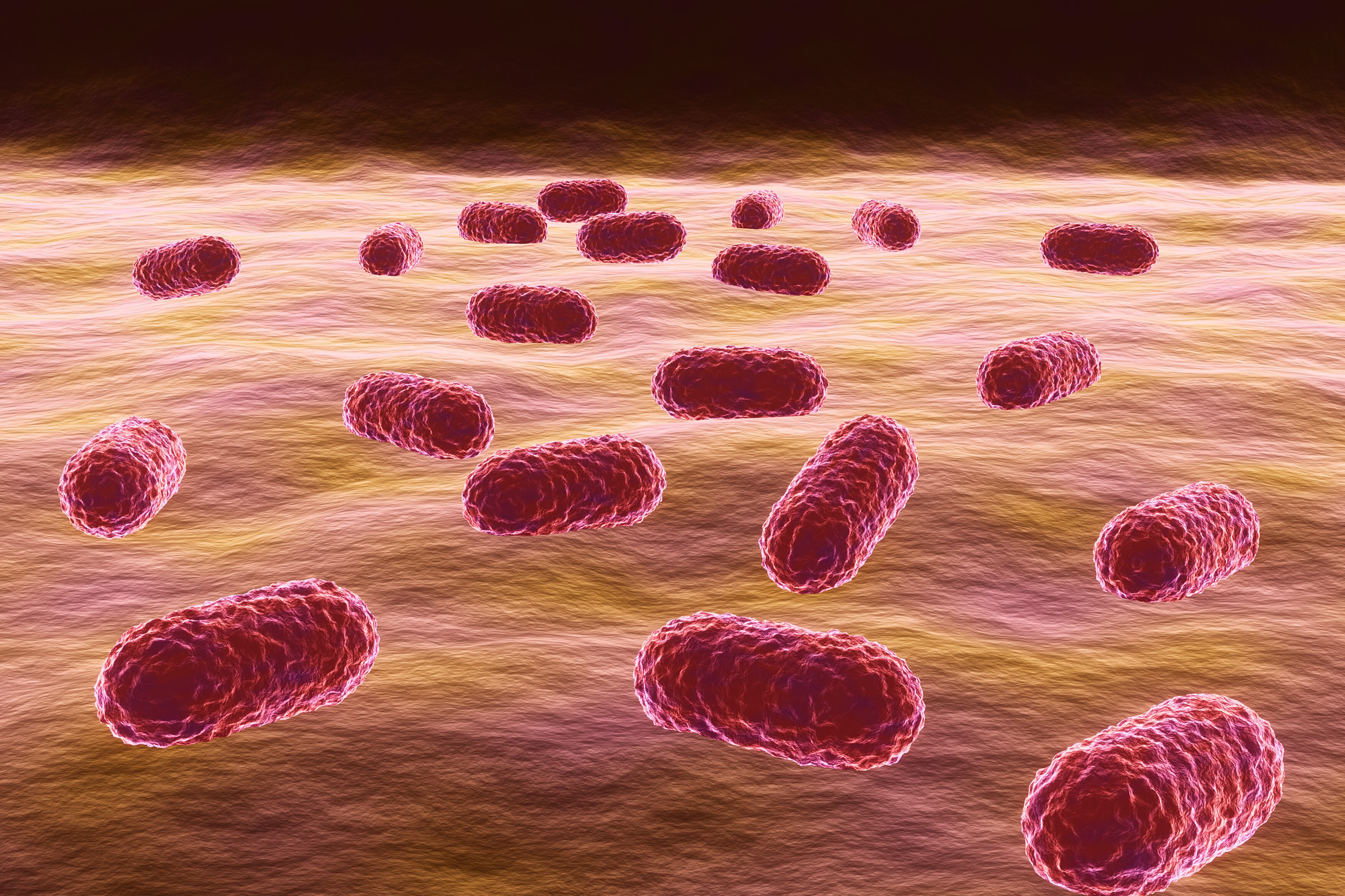 Scientists use AI to find new antibiotic to treat deadly superbug