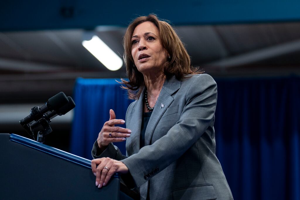 US vice-president Kamala Harris. 'She’s probably the easiest pick to substitute Biden if it comes to that.' Photograph: Doug Mills/New York Times