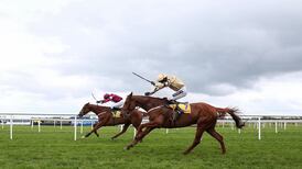 Freakish talent Yorkhill throws away Easter Sunday feature