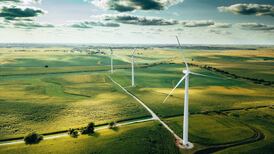 Competition asks students to consider environmental impacts of daily actions