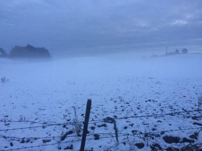 Snow in Ballinagore, Co Westmeath on Saturday. Photograph: Sophie MacQuaile