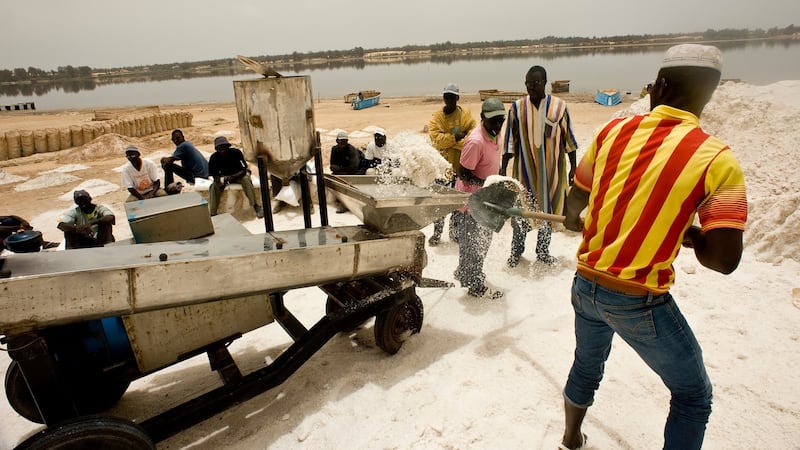 Workers shovel salt into a customised iodisation machine at Lac Rose, Senegal. Photograph: Lar Boland