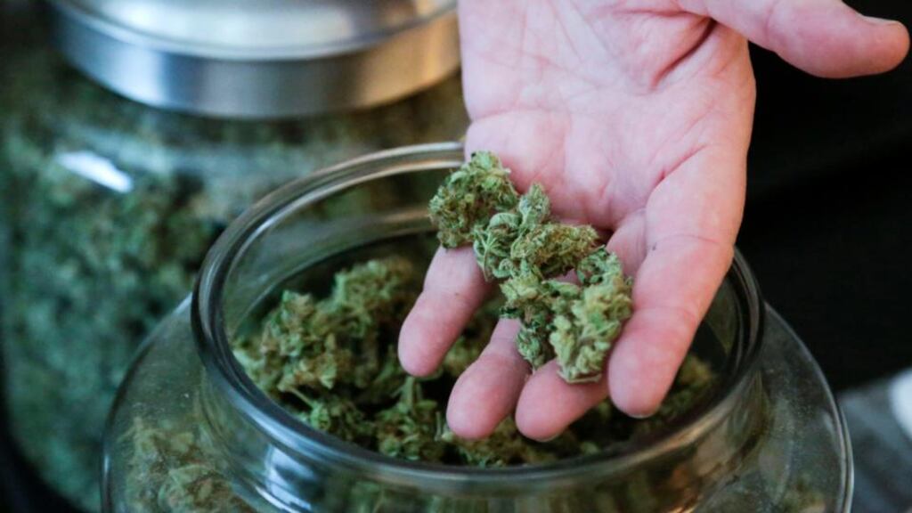 Washington DC voters approved possession of small amounts of cannabis for personal use. Photograph: Jason Redmond/Reuters