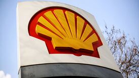 Shell CEO warns Brexit could slow $30bn asset sale plan