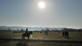 Cheltenham passes morning inspection