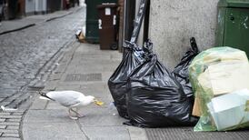 Una Mullally: Dublin is a dirty, smelly, sticky old town once again
