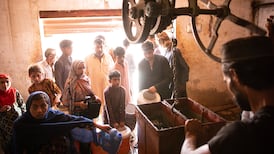 El Niño that fuelled global temperature spike is forecast by WMO to swing to cooler La Niña later this year