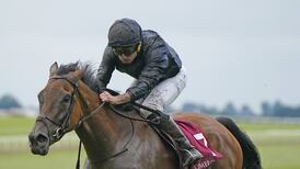 Aidan O’Brien in pursuit of valuable Group One glory for promising two-year-old team