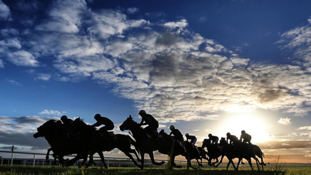 The thoroughbred county: Horses being schooled after racing at The Curragh, Newbridge. Photograph: Lorraine O’Sullivan