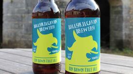 Beer that shakes the barley: the Laois brewery sowing seeds for success