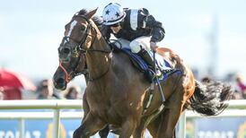 Galway report: Hint Of A Tint bounces back