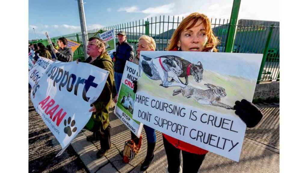 Protesters at the Aran and Irish Coalition Against Blood Sports picket of the National Coursing Championships in Clonmel, Co Tipperary, yesterday.