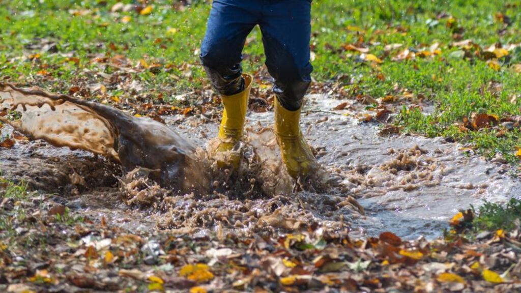 If your garden is retaining water, it could be due to the fact the ground is low-lying and most of the surface water is draining to this area or the ground conditions have a poor natural drainage