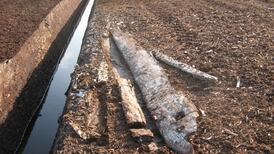 Bronze Age road in Midlands turned into potting compost