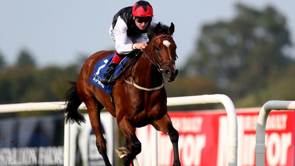 Pat Smullen steering Free Eagle to win the KPMG Enterprise Stakes in Leopardstown last September. Photograph: Ryan Byrne/Inpho