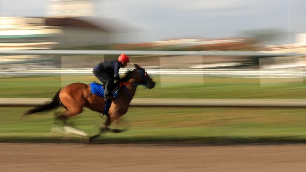 The substances Mr Brennan had in his possession were catasol, a painkiller used in animals; a nutrient called hemo-15; and quinidine sulfate, which is not licensed in this country.  Photograph: Mike Ehrmann/Getty Images