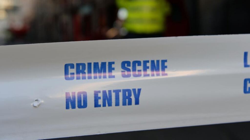 Celyn Eadon had been remanded in custody after failing to produce the surety required to make bail. Photograph: Frank Miller / The Irish Times