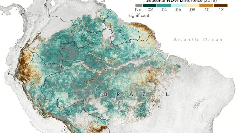 A satellite image of the Amazon rainforest – file image: Nasa/Earth Observatory