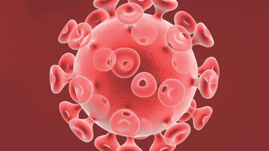 The HIV virus. Recent studies in the US claim PrEP is 70 per cent effective in reducing HIV diagnoses among men who have sex with men.