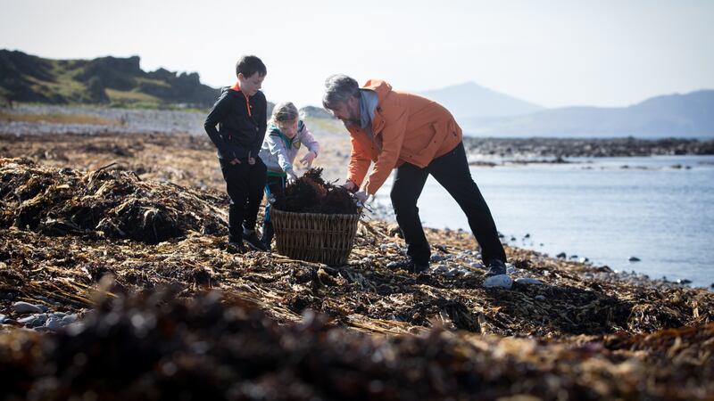 William McElhinney foraging for seaweed with his children in Donegal.