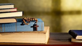 Sex education in Catholic schools covers facts and values, bishops say