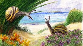 Ireland finds common cause in biodiversity