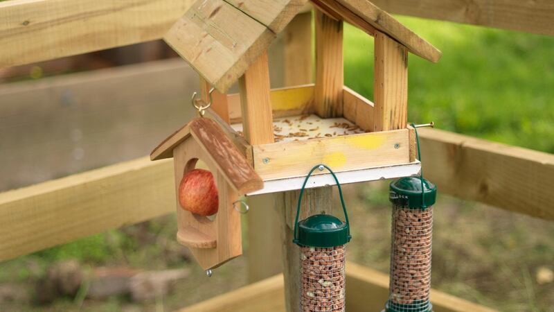 Restock the bird table. Photograph: Richard Johnston