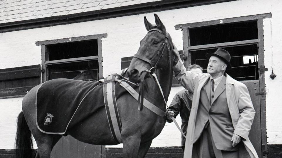 Arkle: buried at the Irish National Stud, in Tully, Co Kildare. Photograph: Dermot Barry